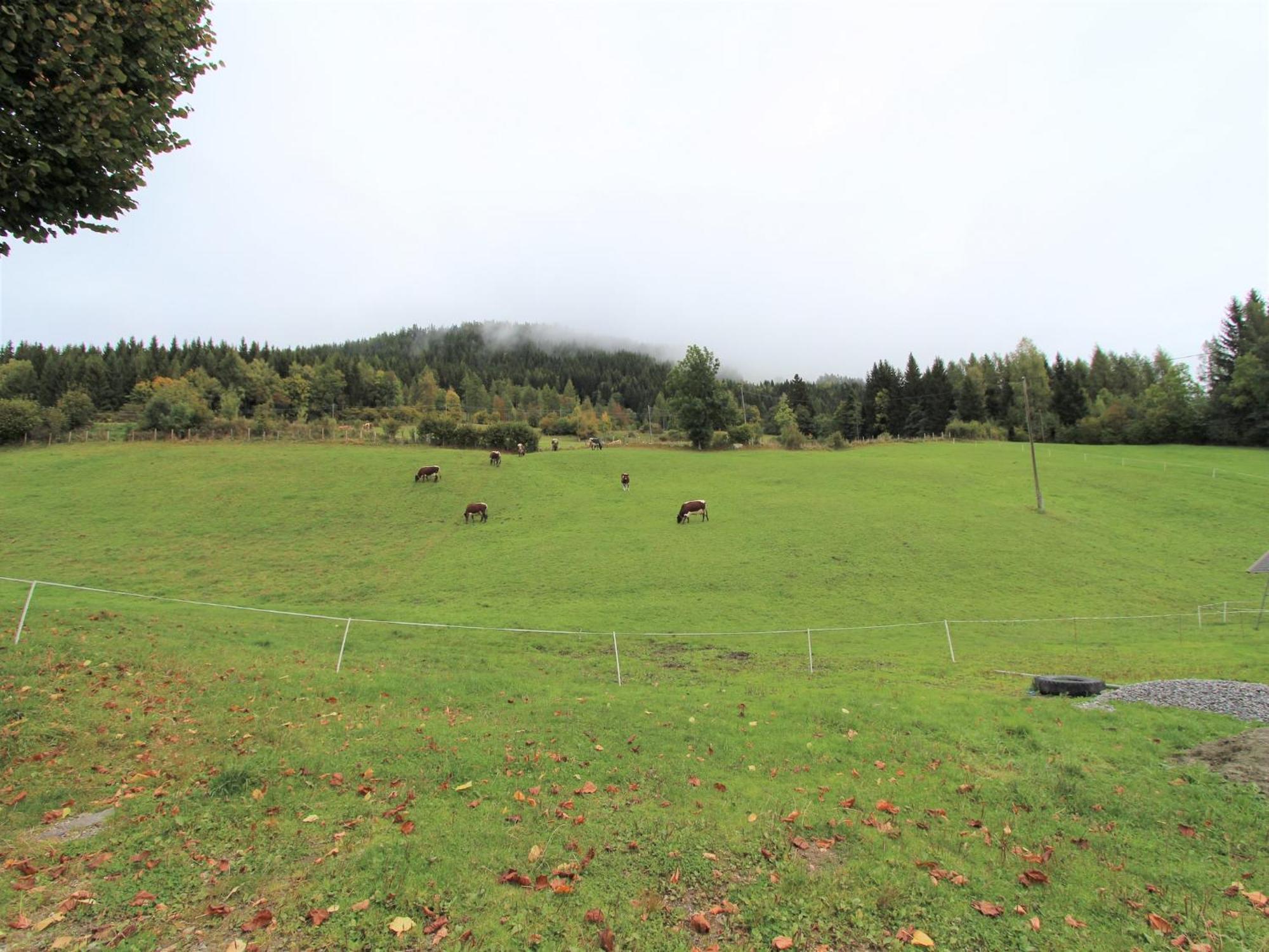 Characterful Old Farmhouse With 4 Apartments In Fresach Carinthia With Garden Экстерьер фото